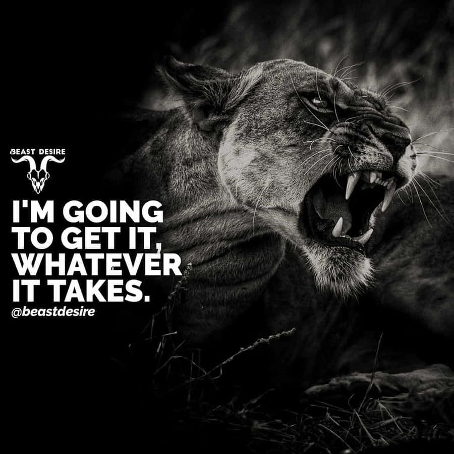 A Black And White Photo Of A Lion With The Quote I'm Going To Get It Whatever It Takes Wallpaper