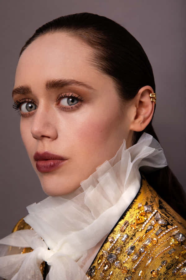 A Blooming Daisy Under The Sunshine Wallpaper