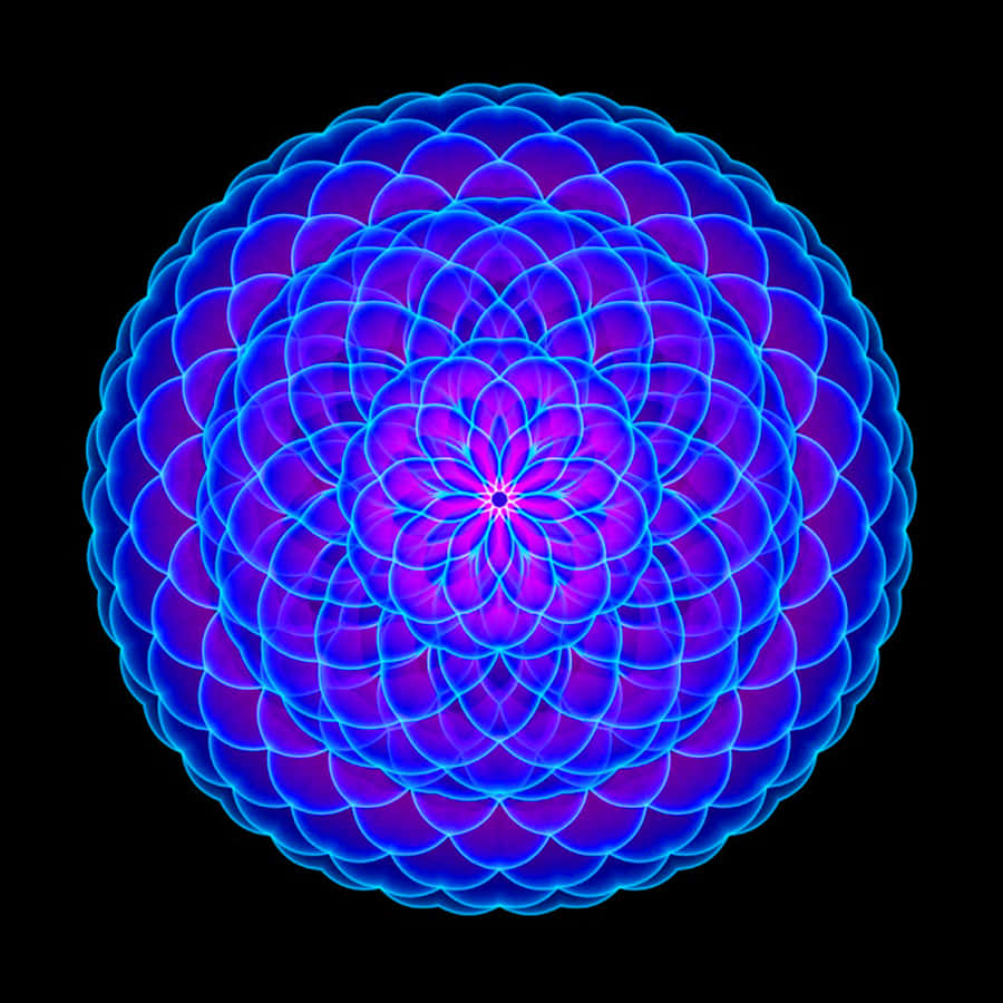 A Blue And Purple Flower On A Black Background Wallpaper