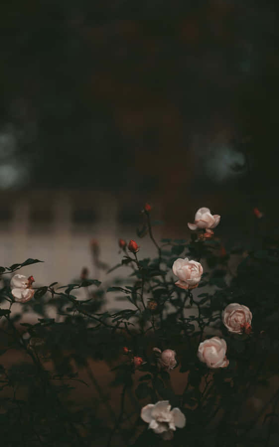 A Blue Wave Of Calm Wallpaper