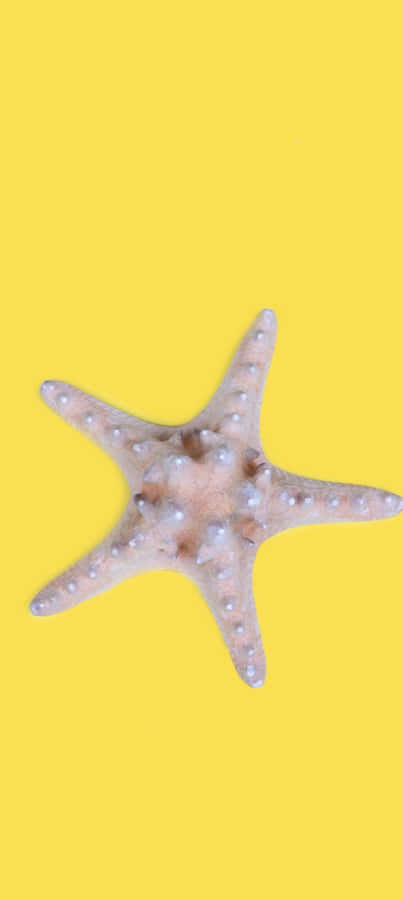 A Breathtaking View Of An Autumn Skyline With Colorful Foliage Wallpaper