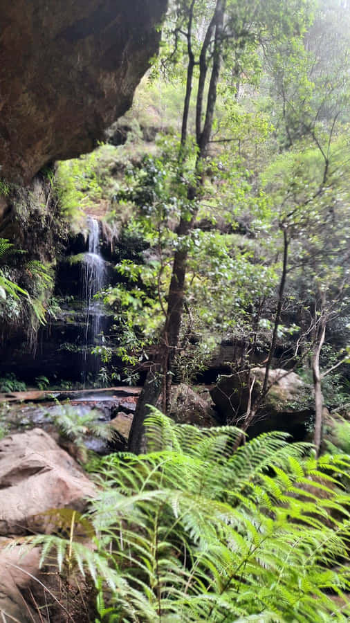 A Breathtaking View Of Blue Mountains National Park In Sydney, Australia Wallpaper