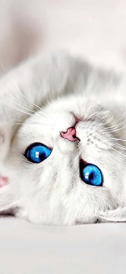 A Breathtaking Winter Mountain Scenery In All Its Glory. Wallpaper