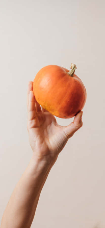 A Bright And Sunny Day In The City Wallpaper