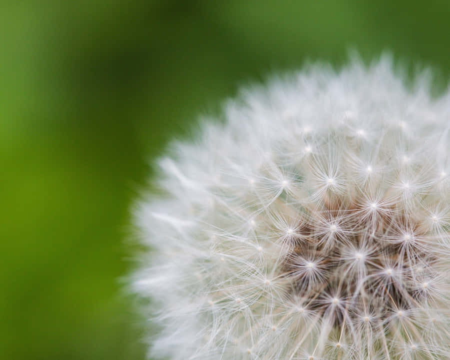 A Calm Sunrise Above The Mountains Wallpaper