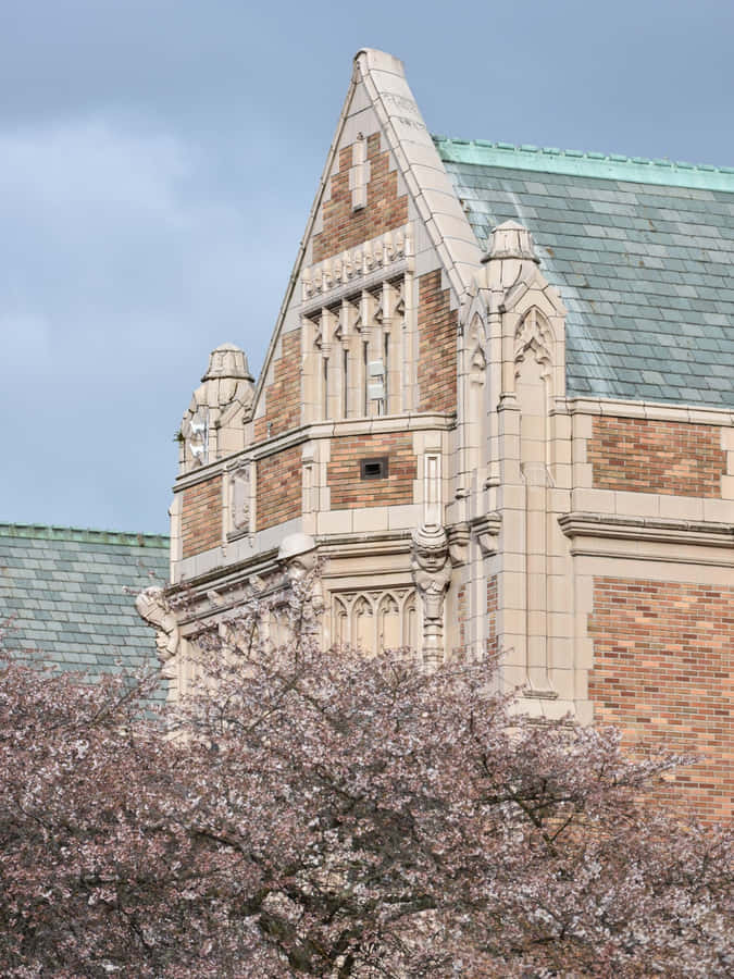 A Captivatingly Serene Beach Scene Wallpaper