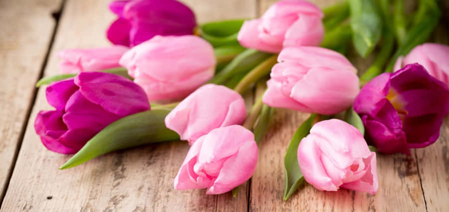 A Clear Blue Ocean Under The Sun Wallpaper