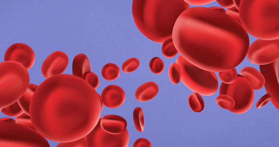 A Close-up Microscopic View Of Healthy Red Blood Cells Flowing In The Bloodstream. Wallpaper