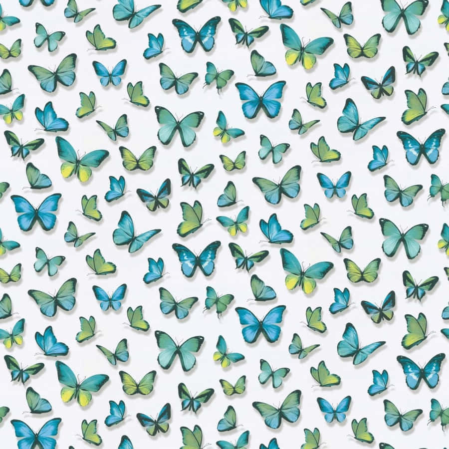 A Close-up Of A Green Butterfly Wallpaper