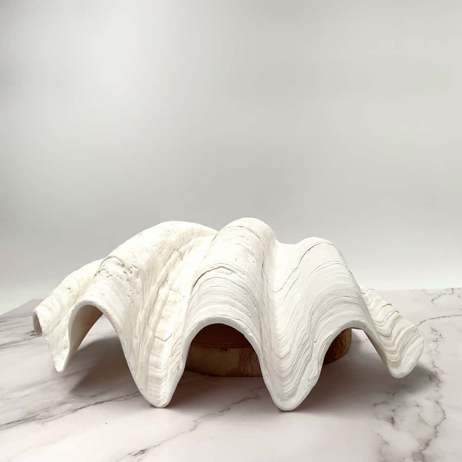 A Closeup Of A Clam Shell On A Sandy Beach. Wallpaper