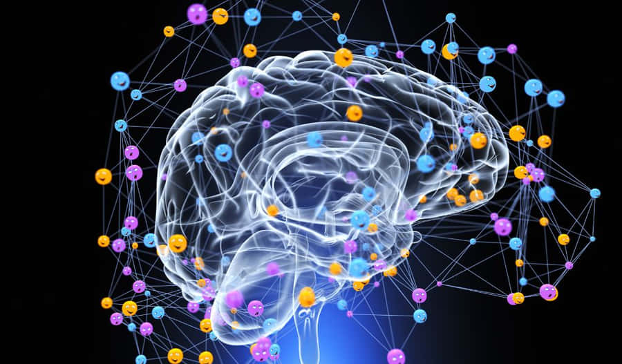 A Closeup Of Delicate Pink Orchids Expressing Love And Beauty Wallpaper