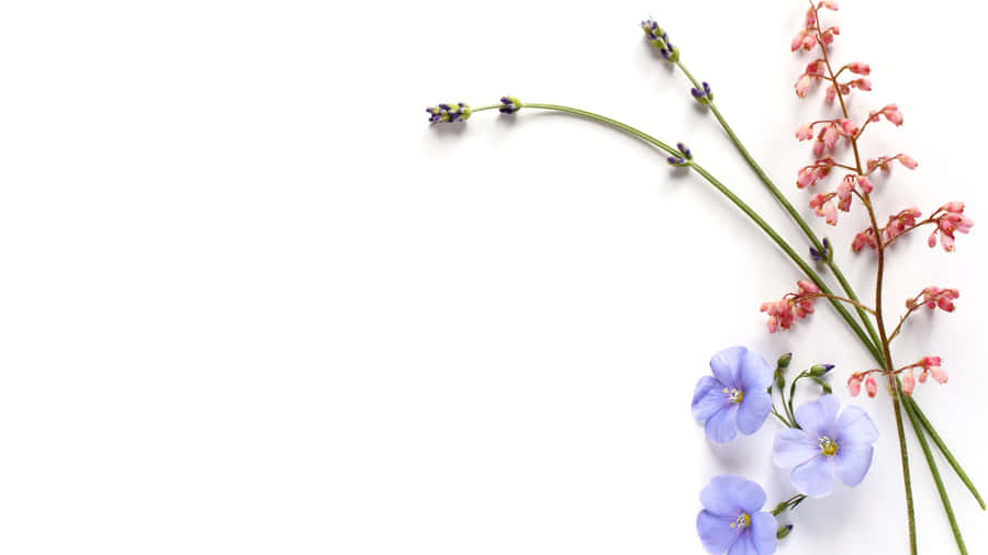 A Cloudy Sky In The Horizon Wallpaper