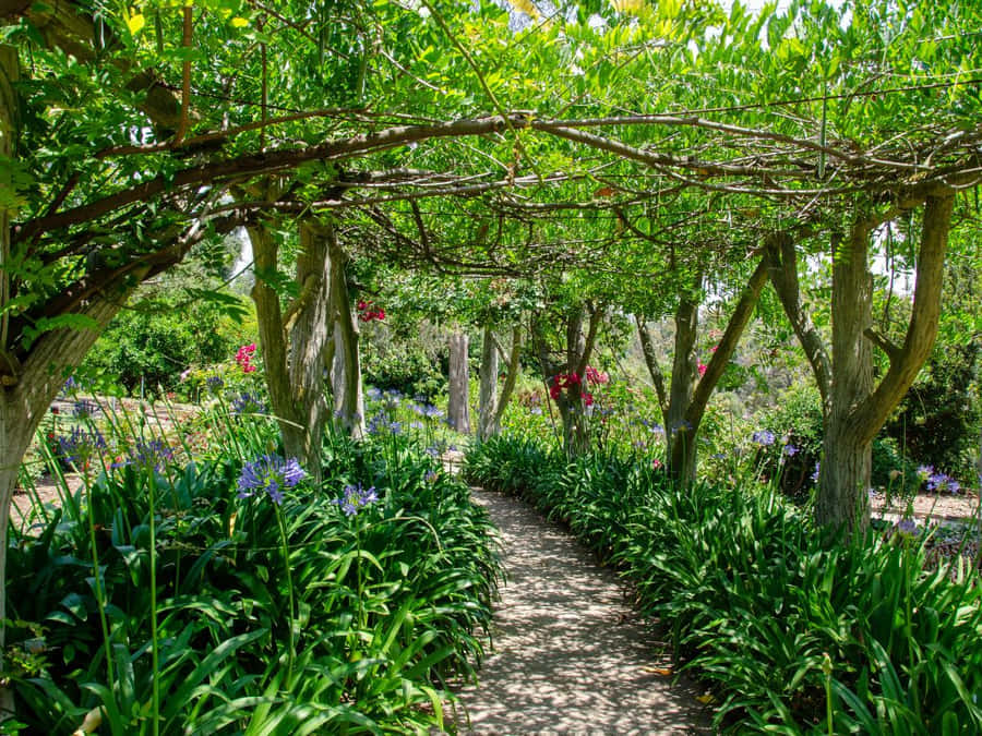 A Colorful Abstract Painting Featuring Curved Lines In Bright Shades Of Blue, Yellow, And Red Wallpaper