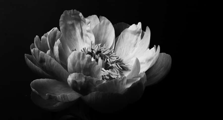 A Colorful View Of A Tropical Ocean Wallpaper