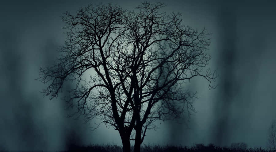 A Deep Venture Into The Mysterious Forest Wallpaper