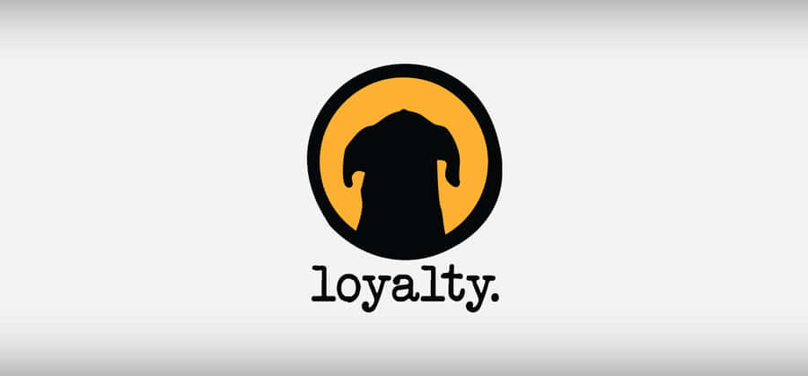 A Devoted Furry Friend Wallpaper