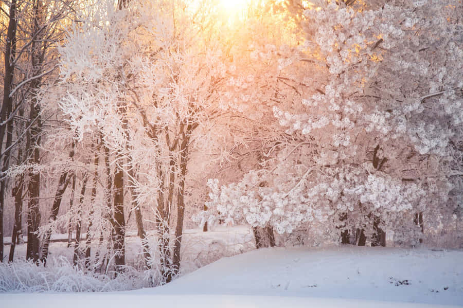 A Digital View Of A Vibrant Sunlit Valley Wallpaper