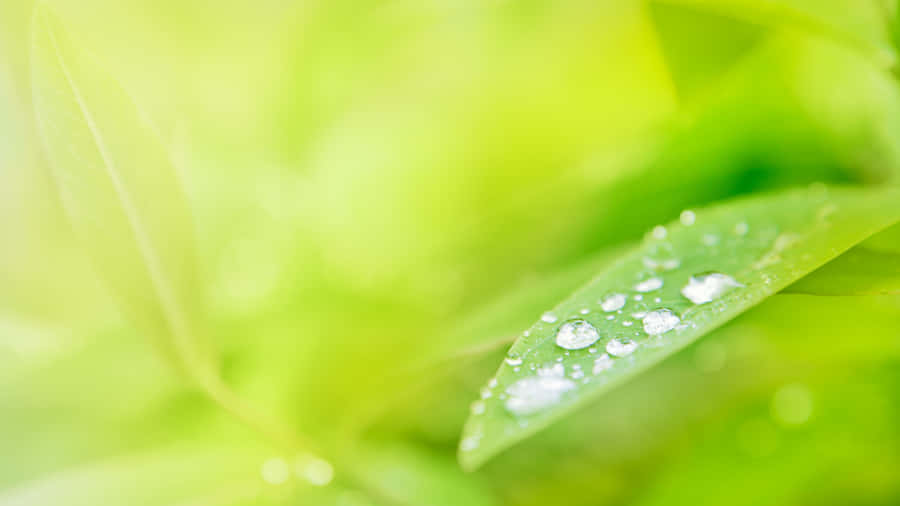 A Dramatic Beach Scene With Dark Clouds Wallpaper