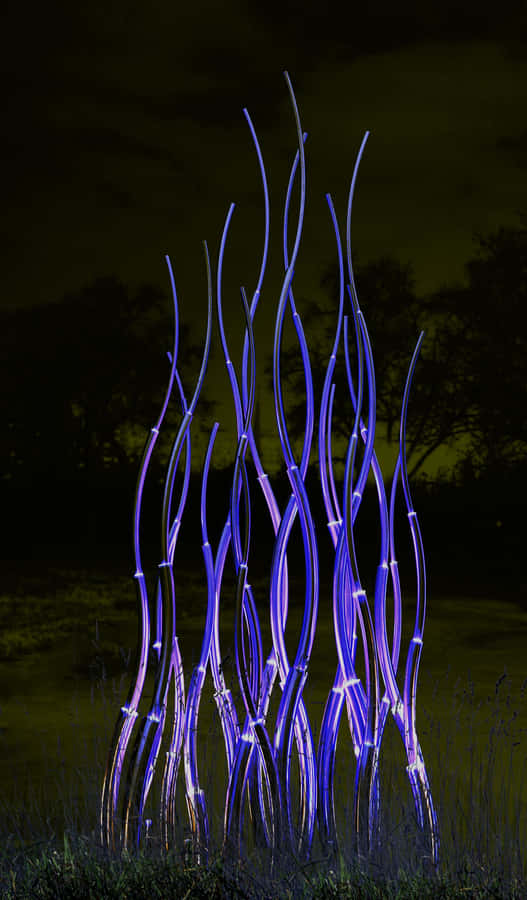 A Field Of Bluegrass In Its Natural Habitat Wallpaper