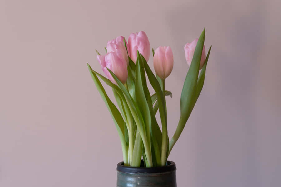 A Garden Of Delights Wallpaper