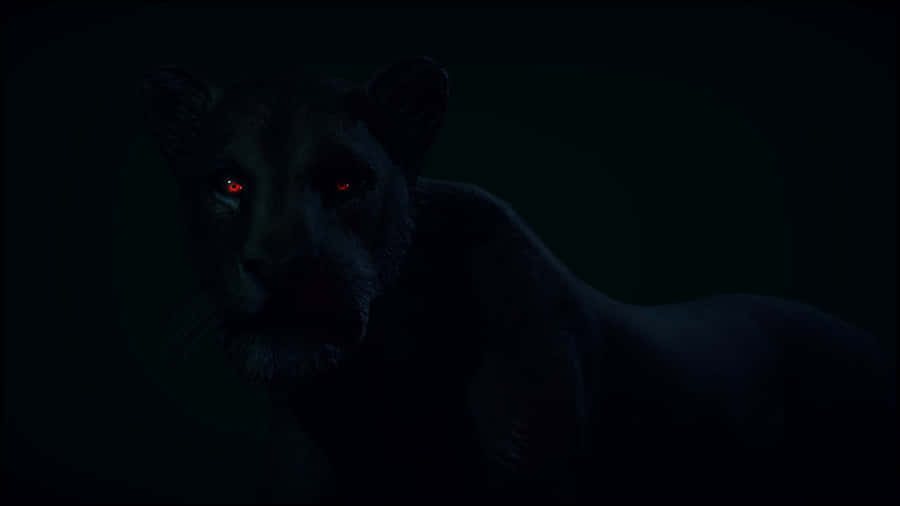 A Graceful Black Jaguar Prowling In The Wild Wallpaper