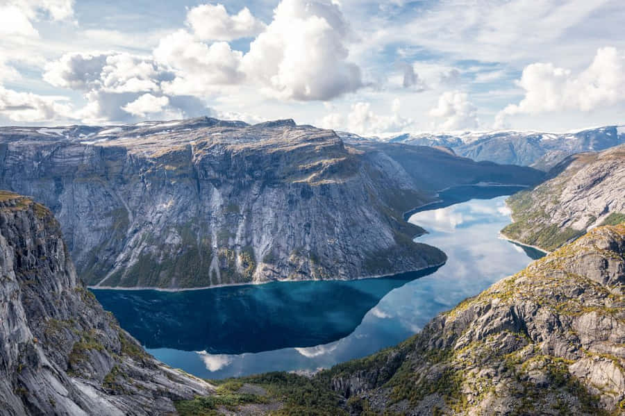A Green Meadow Full Of White Daisies And Grass; Wallpaper