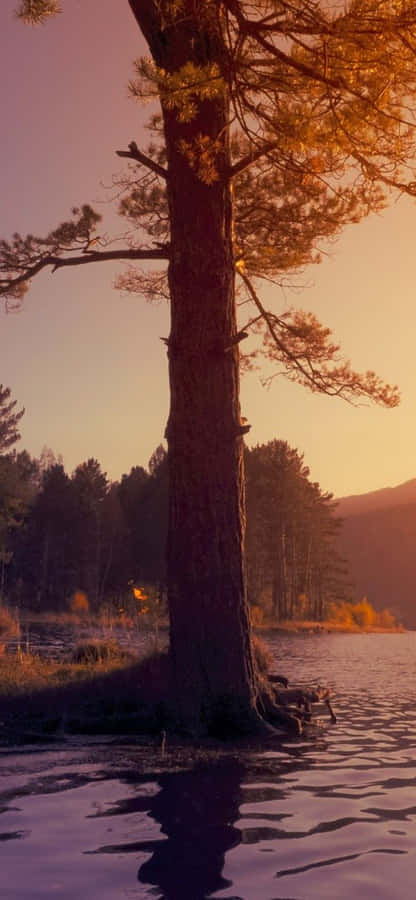 A High Resolution Image Of A Beautiful Blue Sky With White Fluffy Clouds. Wallpaper