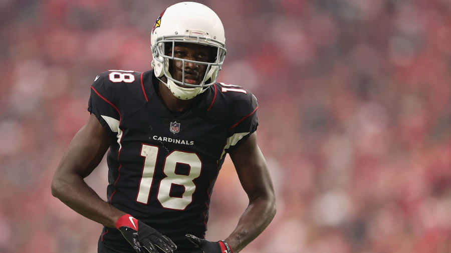 A J Green Cardinals Game Action Wallpaper