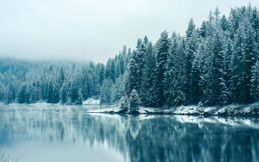 A Lake With Snow Covered Trees And A Snowy Landscape Wallpaper