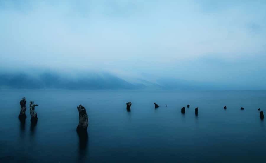 A Lake With Some Old Wooden Posts In The Water Wallpaper