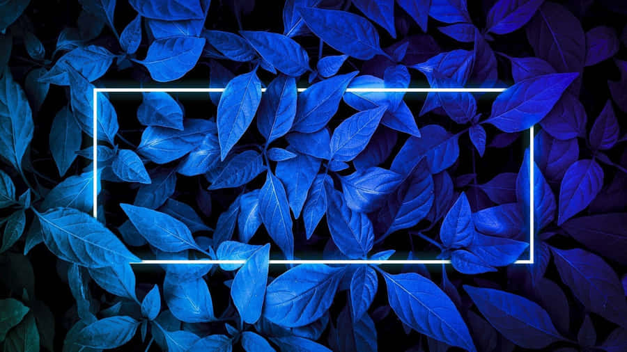 A Lively Brilliance: Stunning Neon Plants Illuminating The Night. Wallpaper