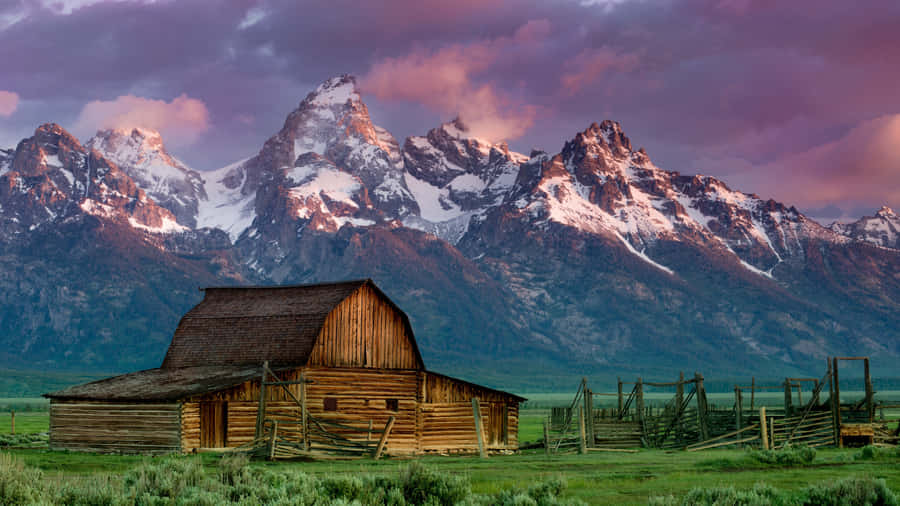 A Lively Meadow Of Green Grass And Wildflowers At A Ranch Wallpaper