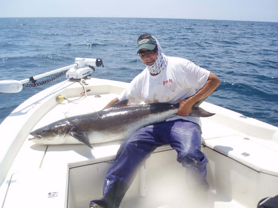 A Lone Cobia Swimming In The Azure Depth Of The Open Ocean Wallpaper