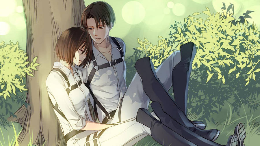 A Love Story For The Ages - Mikasa & Levi Wallpaper
