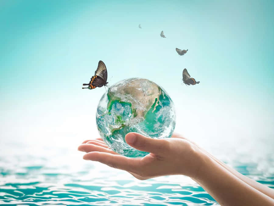 A Lush And Verdant Nature Scene Wallpaper