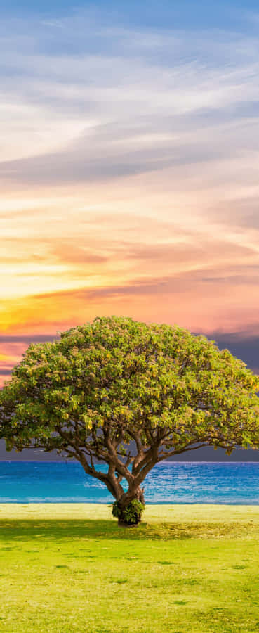 A Lush Green Valley In The Countryside Wallpaper