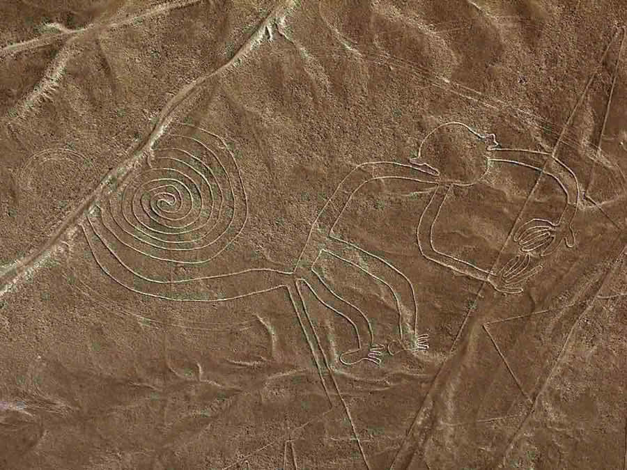 A Majestic Aerial View Of The Nazca Lines Wallpaper