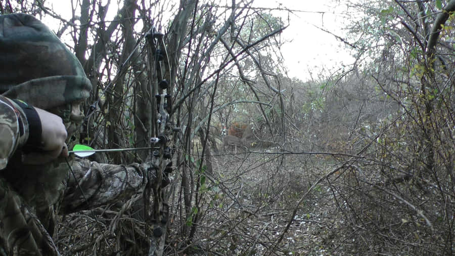A Man Is Aiming His Bow At A Tree Wallpaper