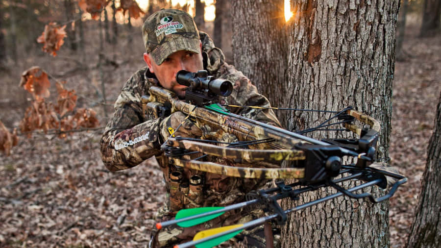 A Man Is Aiming His Bow In The Woods Wallpaper