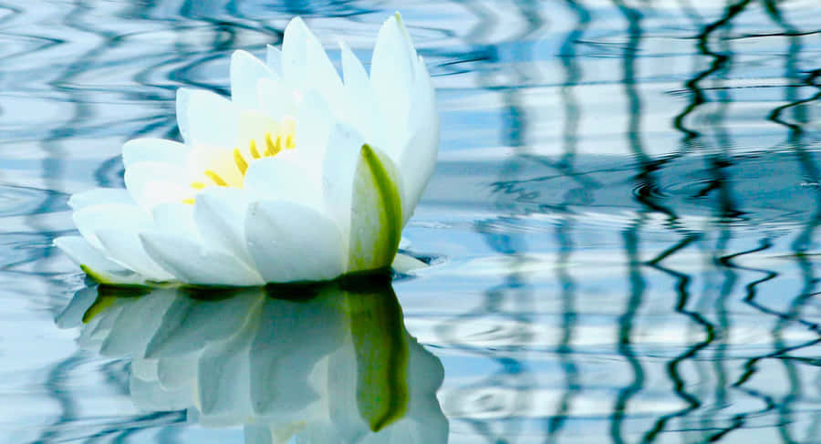 A Masterpiece Of Iridescent Beauty, Featuring A Gorgeous Sunset Over A Majestic Mountain Range. Wallpaper