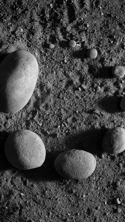 A Mesmerizing Shot Of A Large Tree Standing Strong Against An Orange Sky Wallpaper
