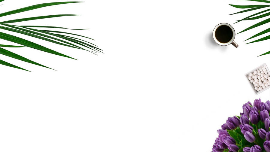 A Minimalist Flower For Your Computer Wallpaper