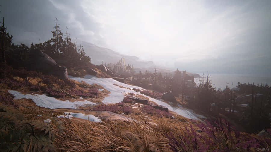 A Mountain With Grass And Flowers In The Background Wallpaper