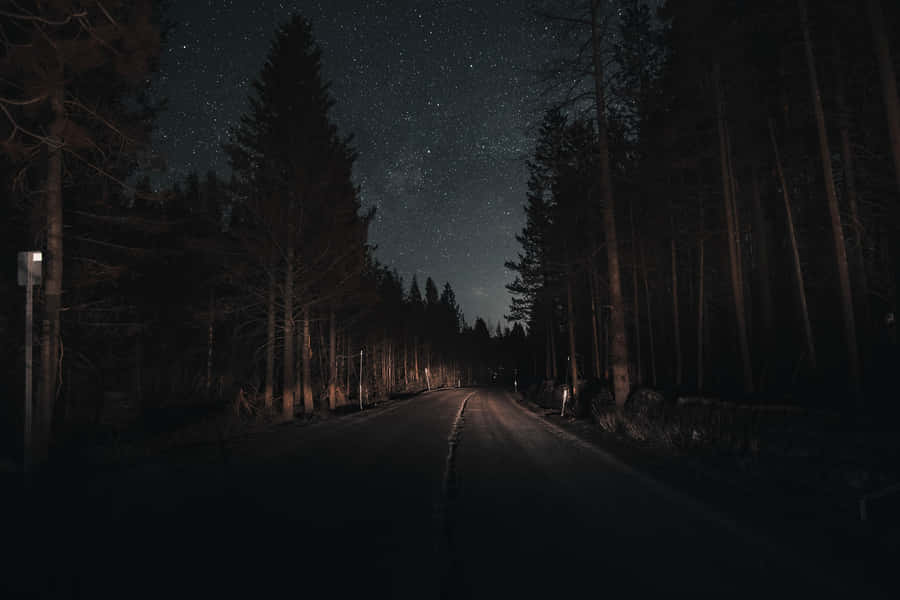 A Mysterious Journey Through The Dark Forest Road Wallpaper