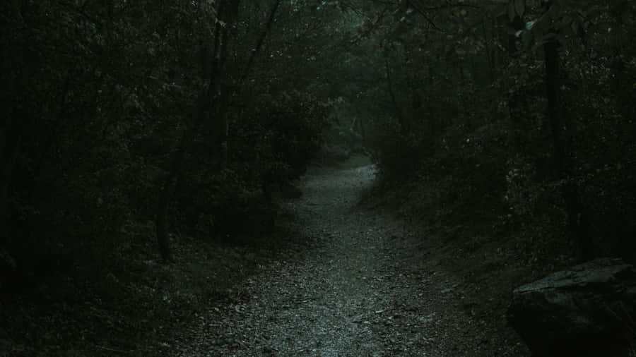A Mysterious Solitude: Depicting A Gloomy Atmosphere Wallpaper