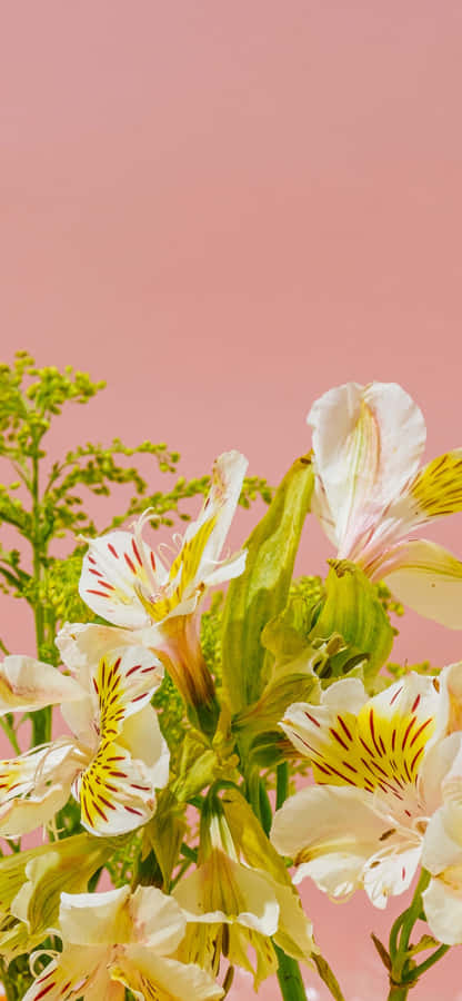 A Mystical And Magical Waterfall In Montana Wallpaper