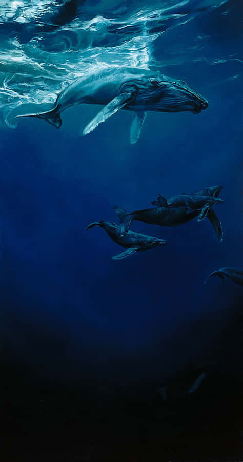 A Painting Of A Humpback Whale And Its Young Wallpaper