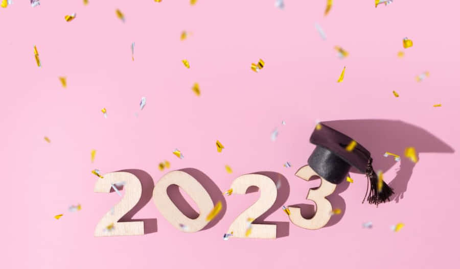 A Path Between Tall Trees Wallpaper