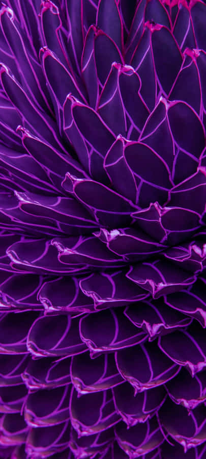 A Peaceful Lake View With Lush Trees And Clouds In The Sky Wallpaper