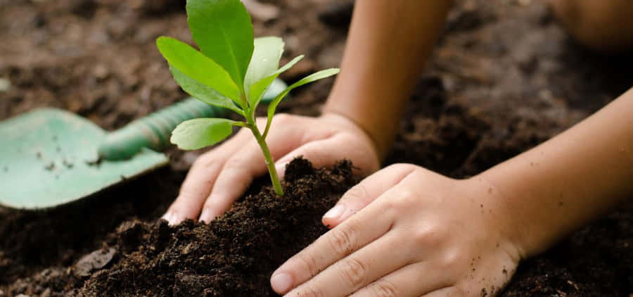 A Picturesque Organic Farming Landscape Wallpaper